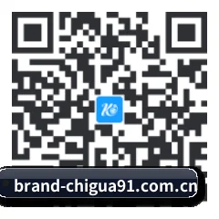 iOS 防封体系版 二维码
